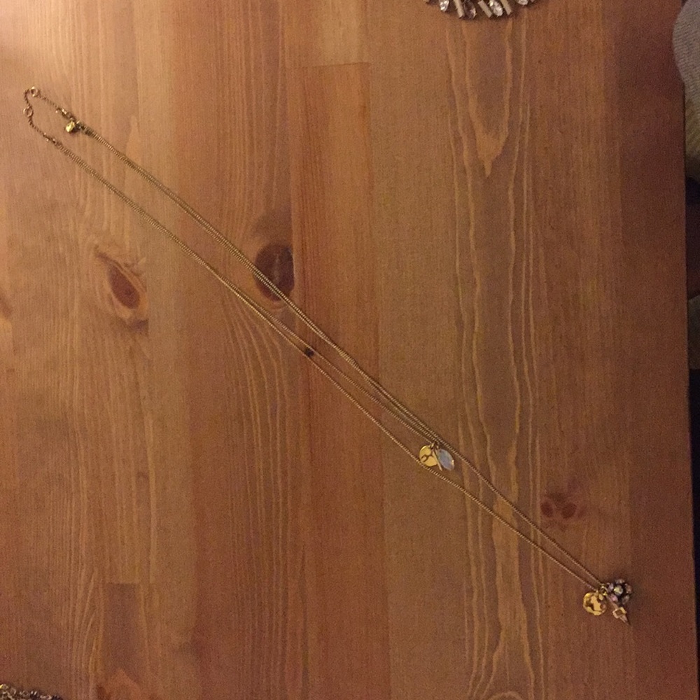 Double strand charm necklace
